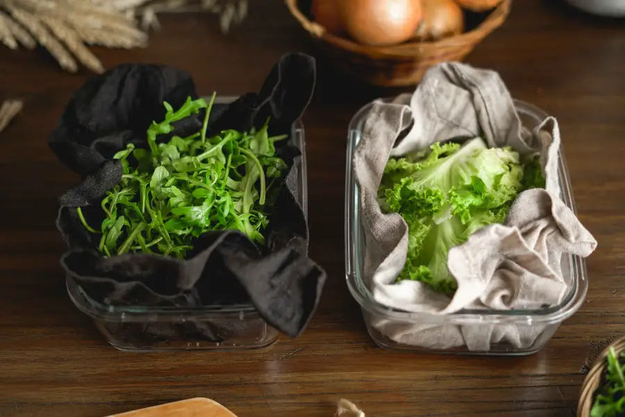 conservar verduras em recipientes
